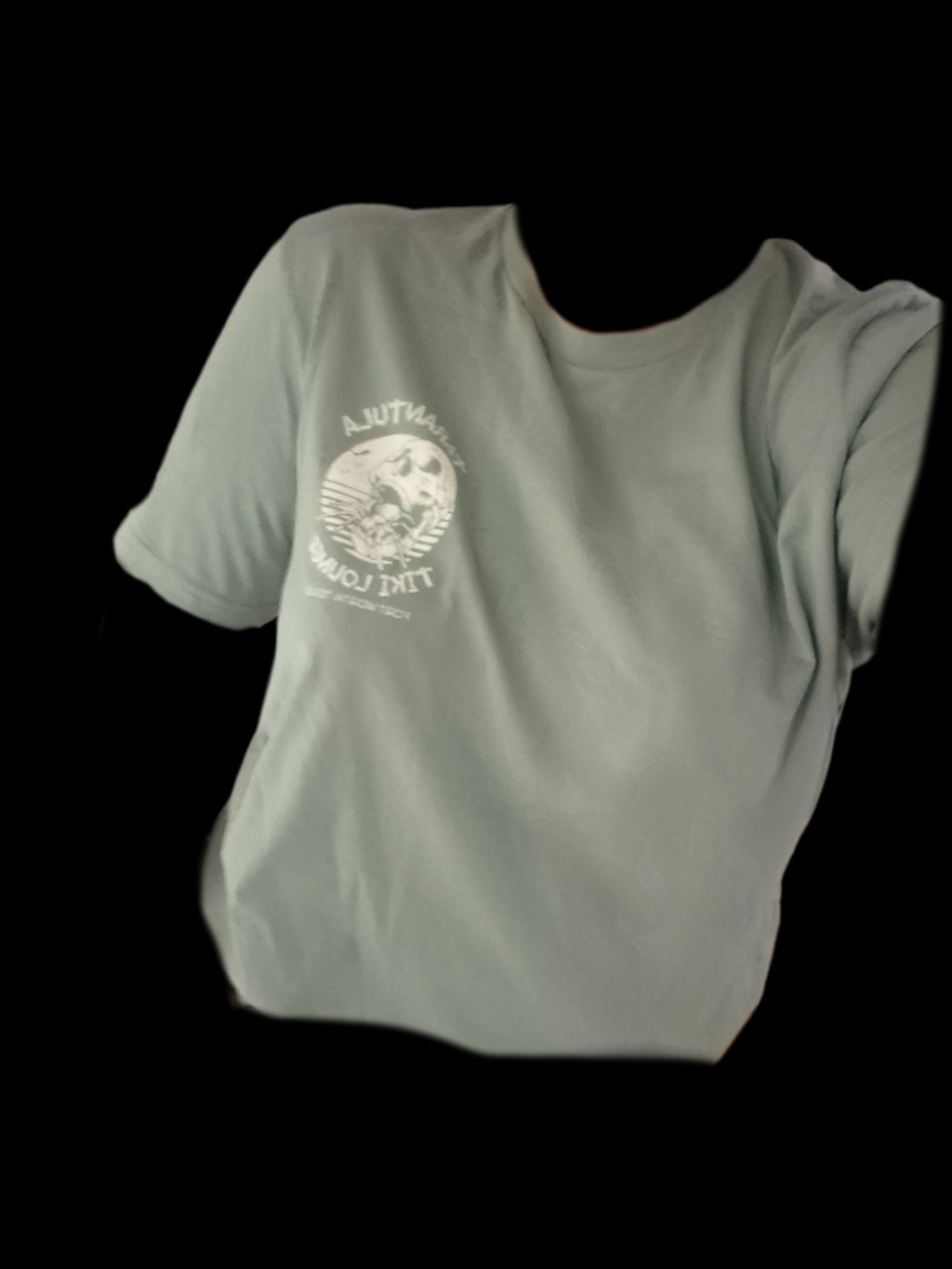 NEW! Sage green logo T•Shirt
