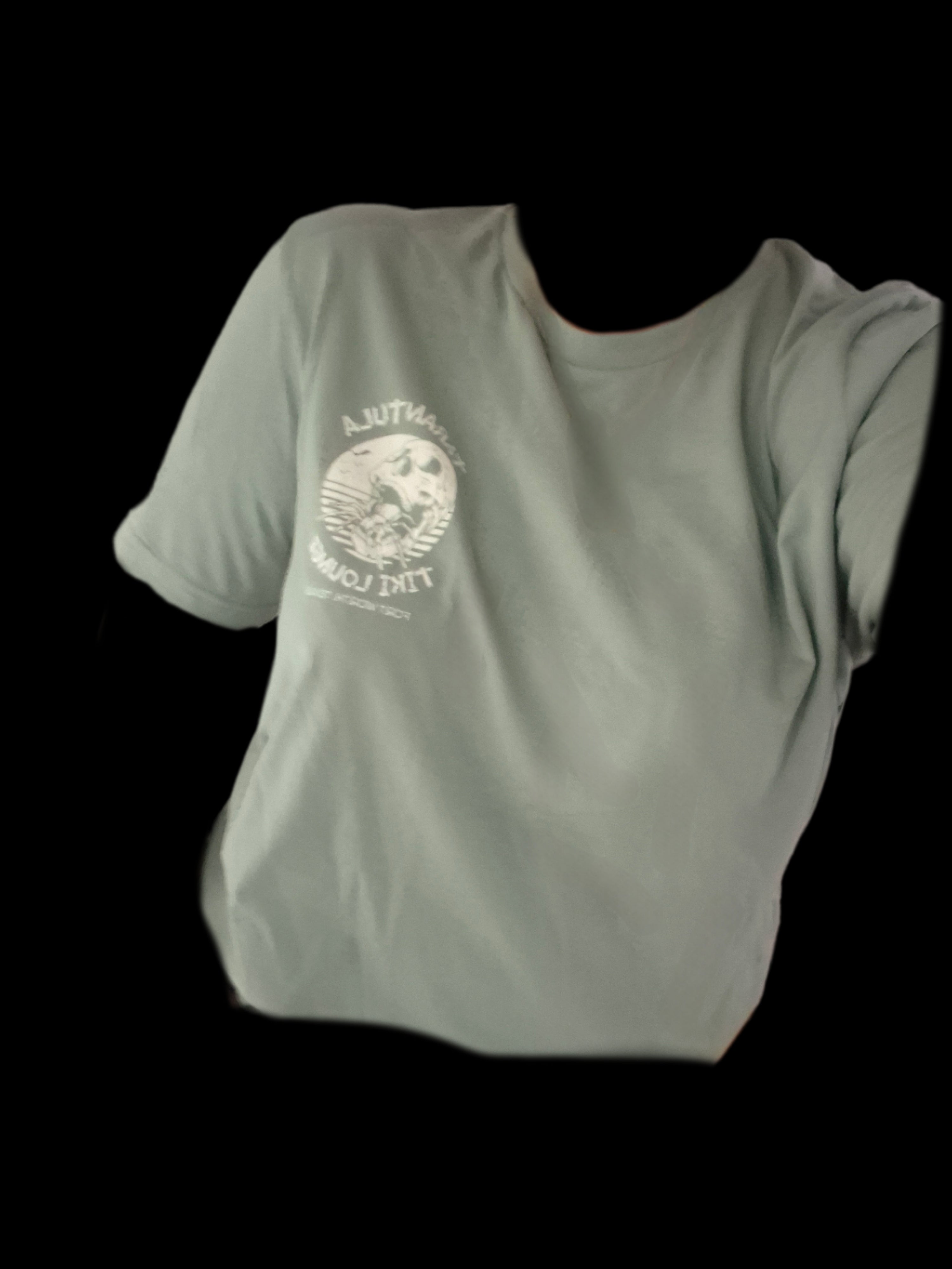 NEW! Sage green logo T•Shirt